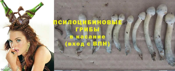 МДМА Елизово