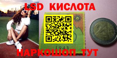 СК Новодвинск