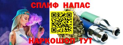 сатива Новозыбков