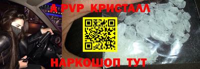 СК Новодвинск