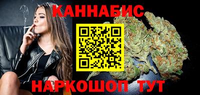 СК Новодвинск