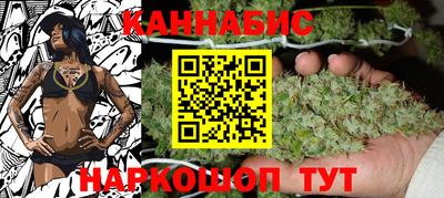 сатива Новозыбков