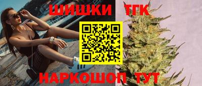 СК Новодвинск