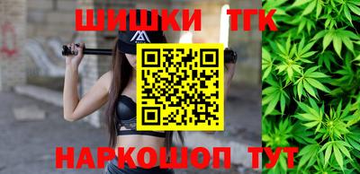 СК Новодвинск