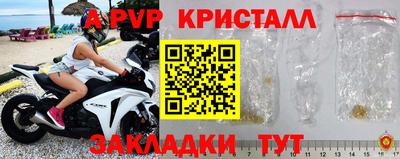 сатива Новозыбков