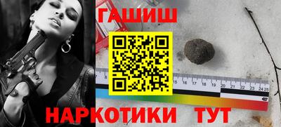 СК Новодвинск