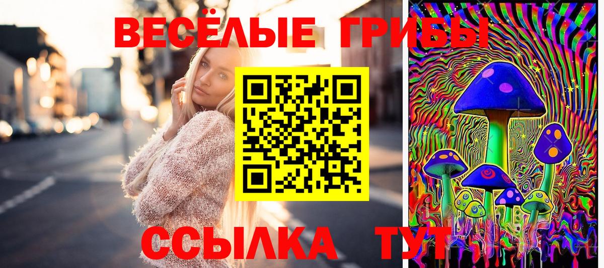 Псилоцибиновые грибы GOLDEN TEACHER  Вход с VPN  купить закладку  Радужный 